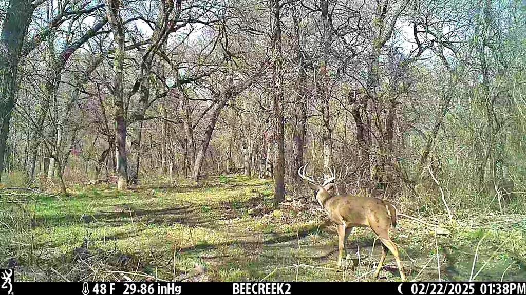 0 Bee Creek Road Maypearl, TX 76064 - Photo 13 of 20