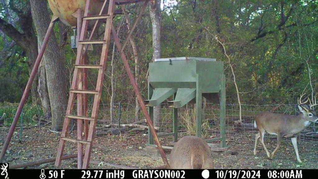 0 Bee Creek Road Maypearl, TX 76064 - Photo 15 of 20 a backyard of a house with table and chairs