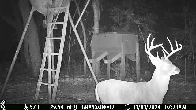 0 Bee Creek Road Maypearl, TX 76064 - Photo 16 of 20