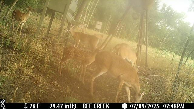 0 Bee Creek Road Maypearl, TX 76064 - Photo 17 of 20 a view of bathroom with shower
