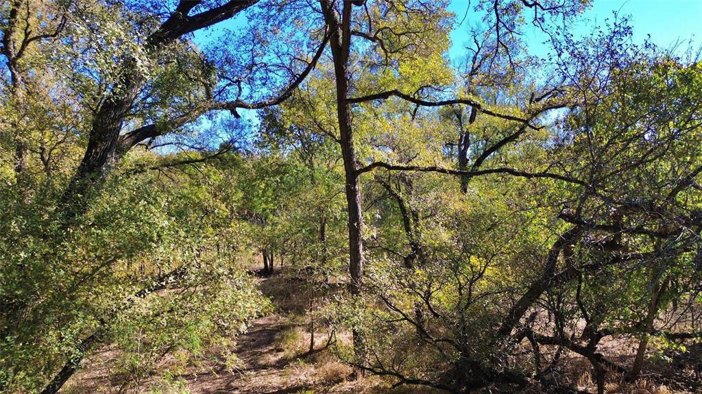 0 Bee Creek Road Maypearl, TX 76064 - Photo 3 of 20