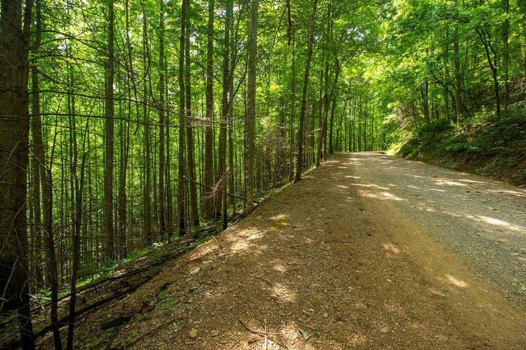 13 Sugar Maple Loop Road Sevierville, TN 37862 - Photo 1 of 15