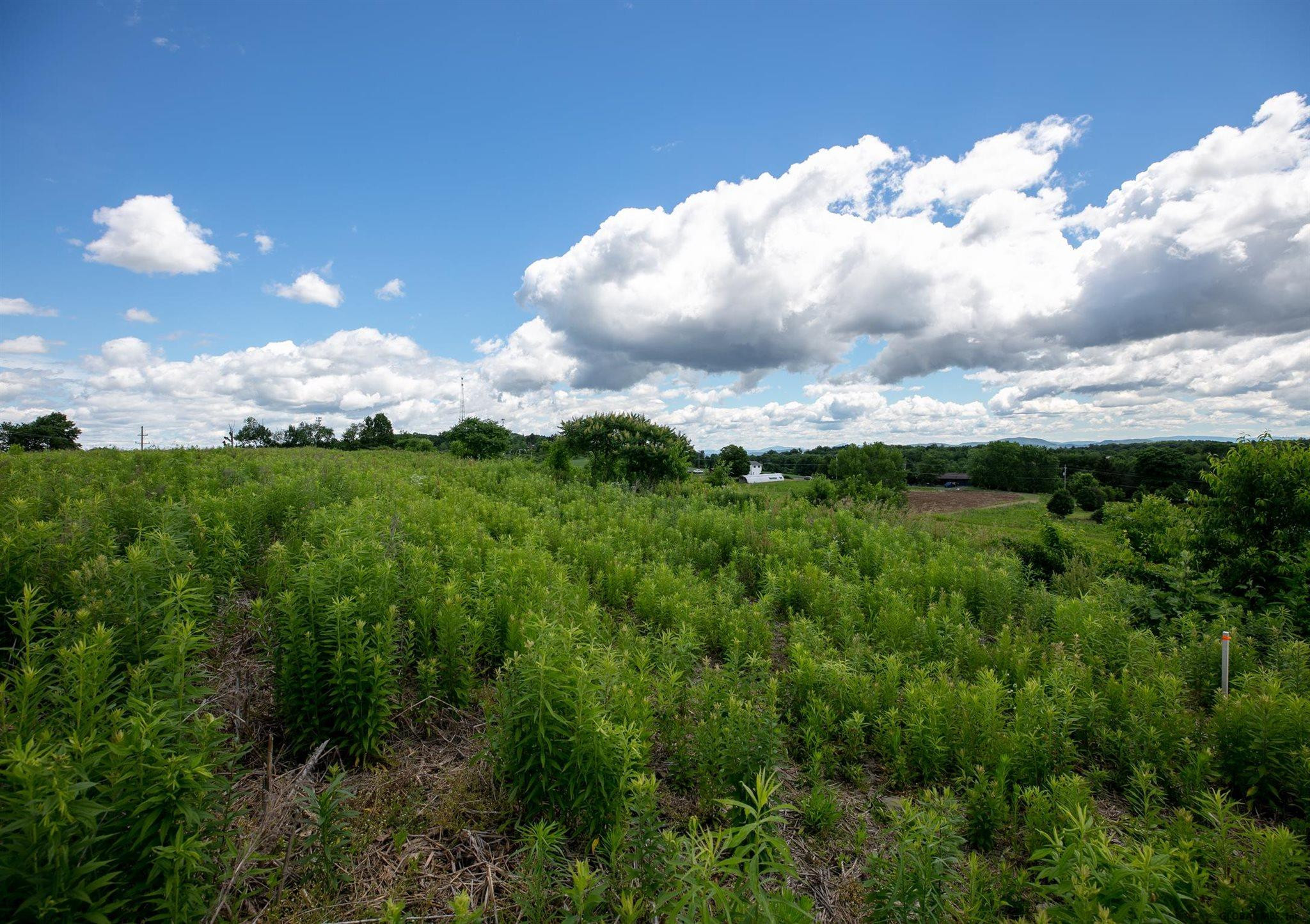 107 Brickhouse Road Stillwater, NY 12170 - Photo 7 of 10 .