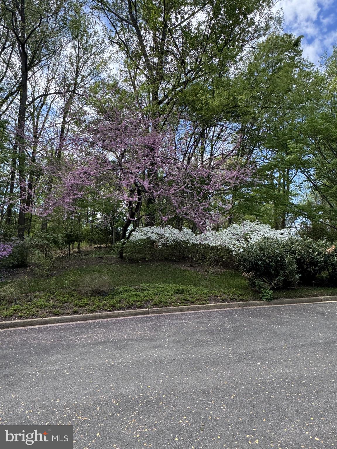 700 Belgrove Road McLean, VA 22101 - Photo 74 of 86 Spring time