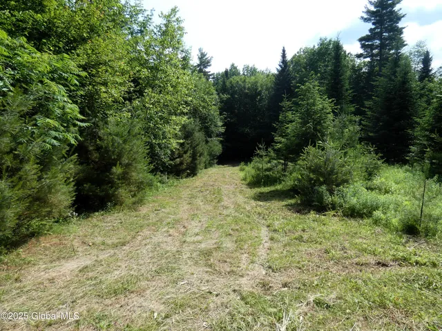 $62,900 | 1157 County Road 29, Minerva, NY 12857