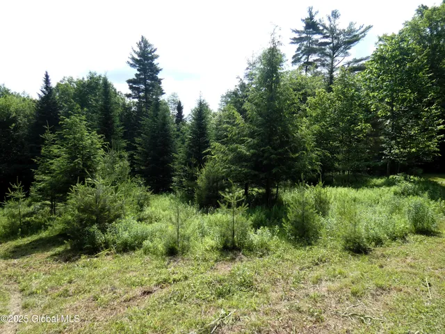 $62,900 | 1157 County Road 29, Minerva, NY 12857