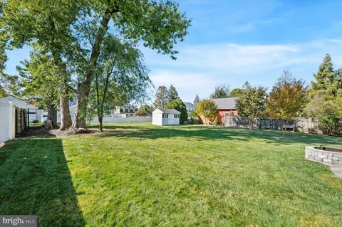 a view of a park with large trees
