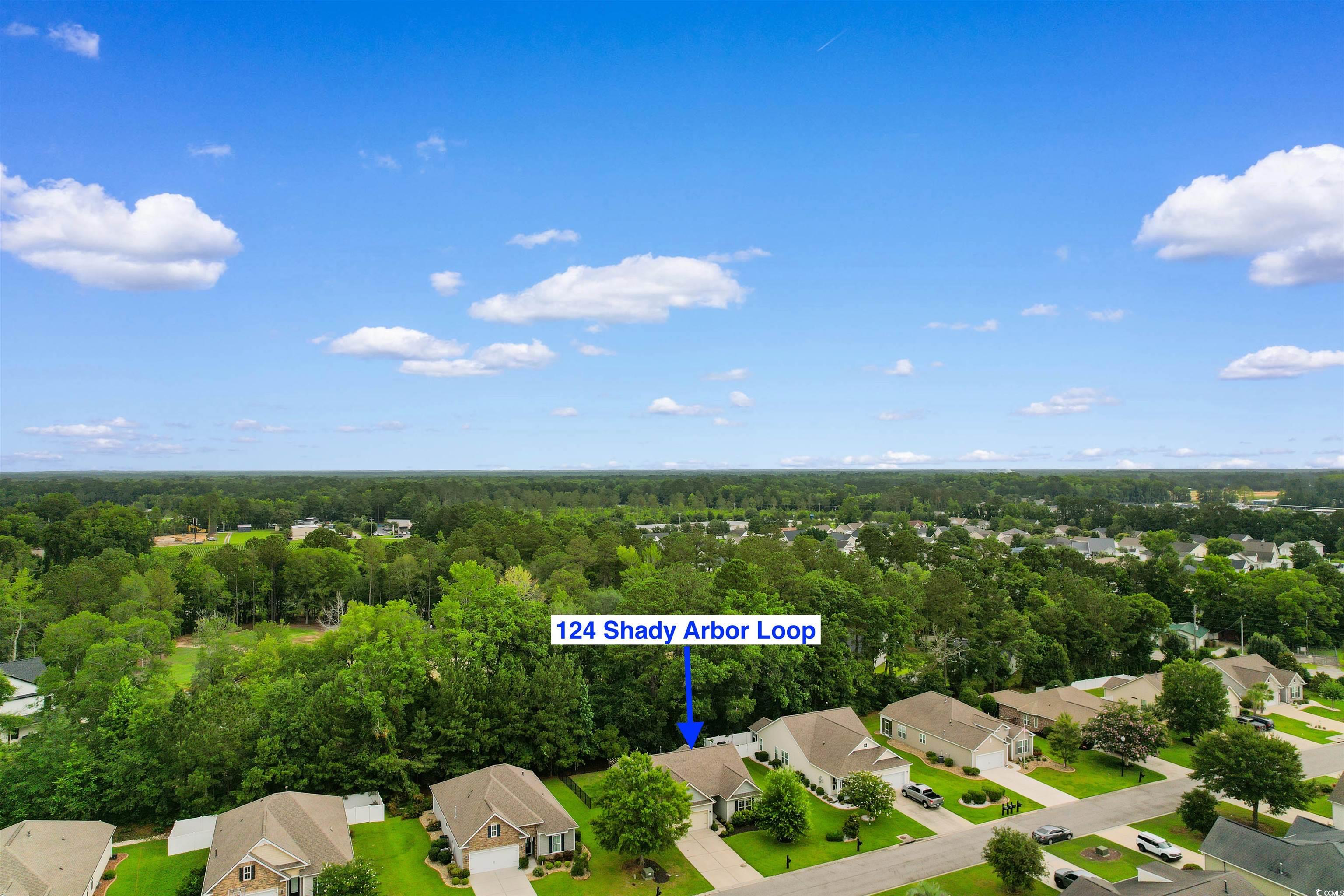 124 Shady Arbor Loop Longs, SC 29568 - Photo 31 of 40 Aerial perspective of suburban area with a forest