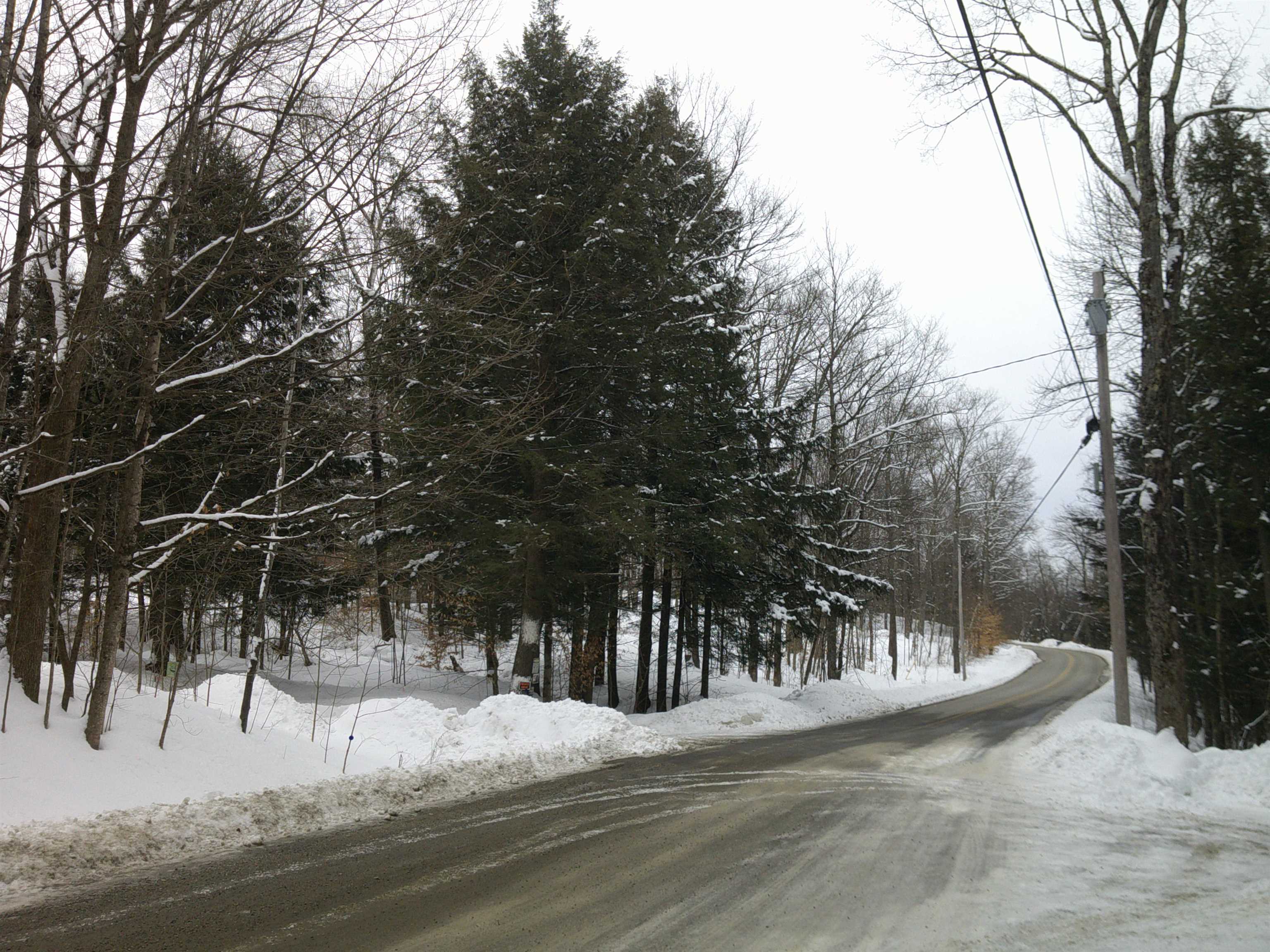 0 Plot Road, Unit 2 Johnson, VT 05656 - Photo 8 of 29