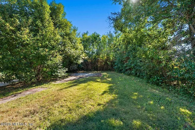 a view of a yard with a tree
