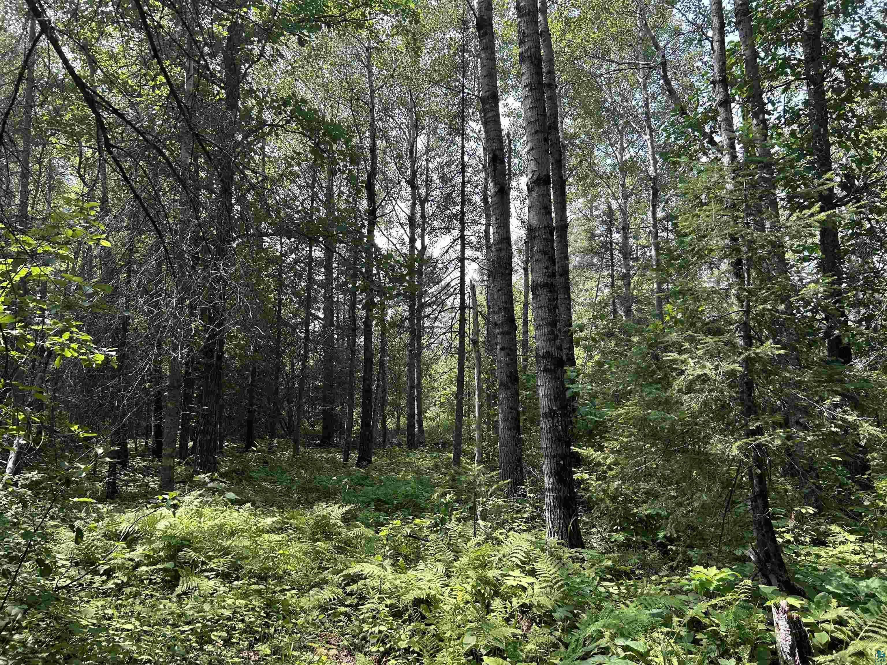 1888 Korkki Road Duluth, MN 55804 - Photo 28 of 55