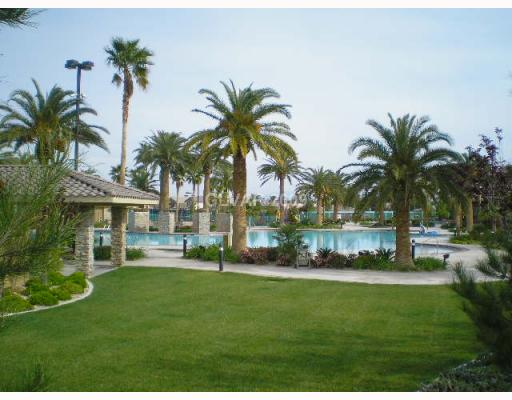 255 Soggy Ruff Way Las Vegas, NV 89148 - Photo 11 of 12 Property Photo. Fabulous pool and water park