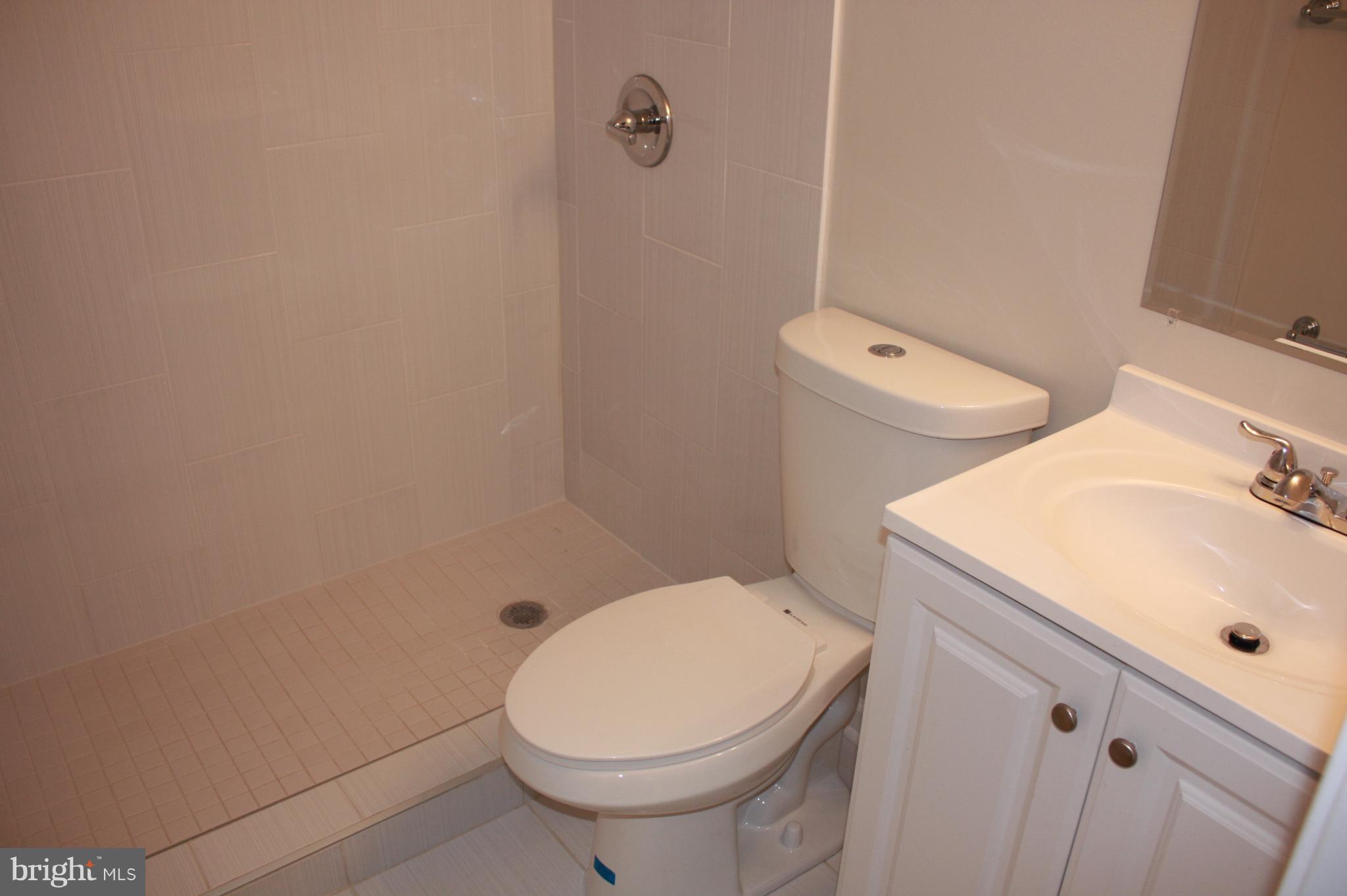 5121 Decatur Street Hyattsville, MD 20781 - Photo 11 of 13 Bath (Master)