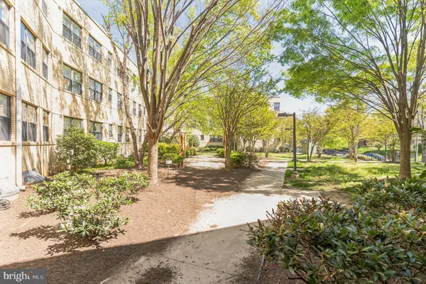 a view of a yard with plants and trees