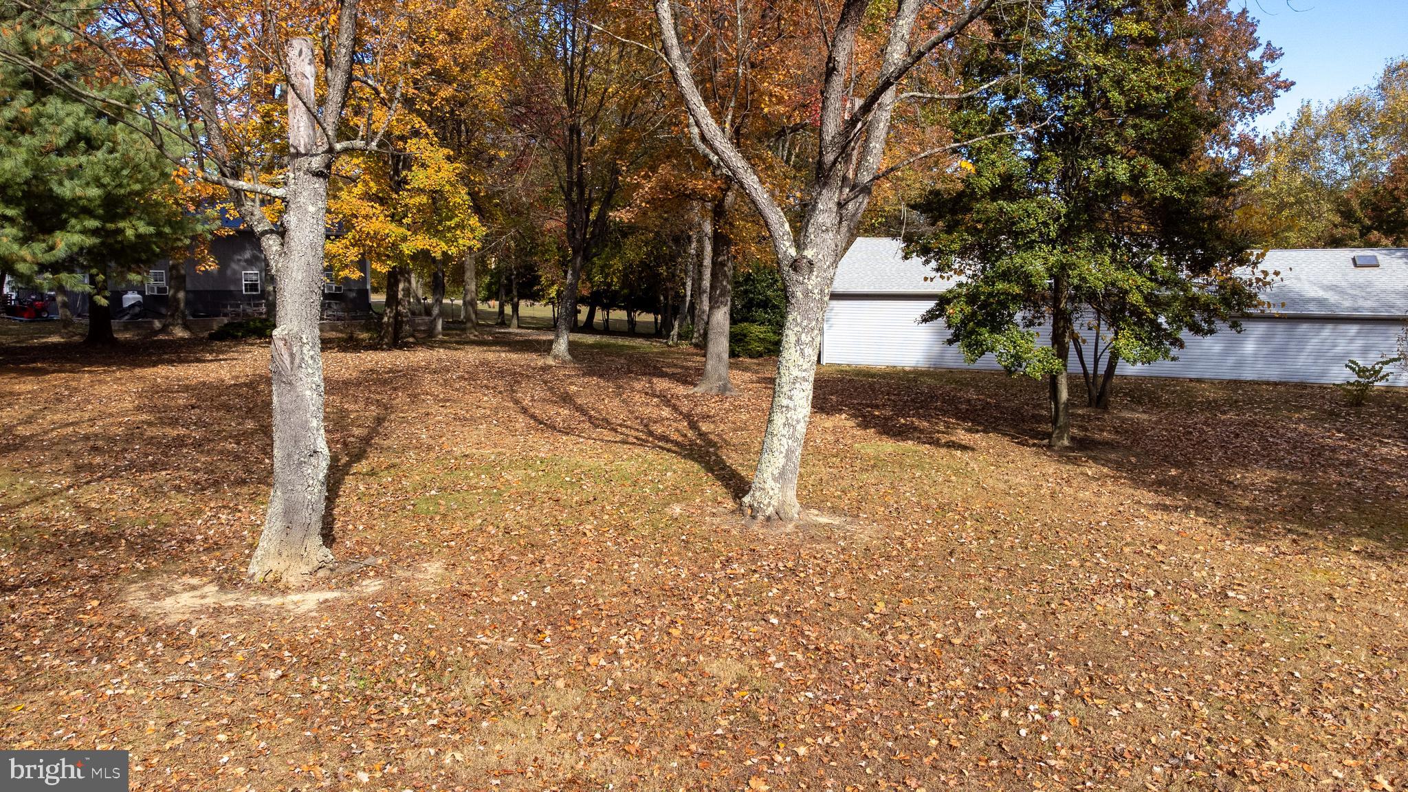 Beautiful View Lot Oldfield Point Road Elkton, MD 21921 - Photo 7 of 44 a view of a yard with large trees