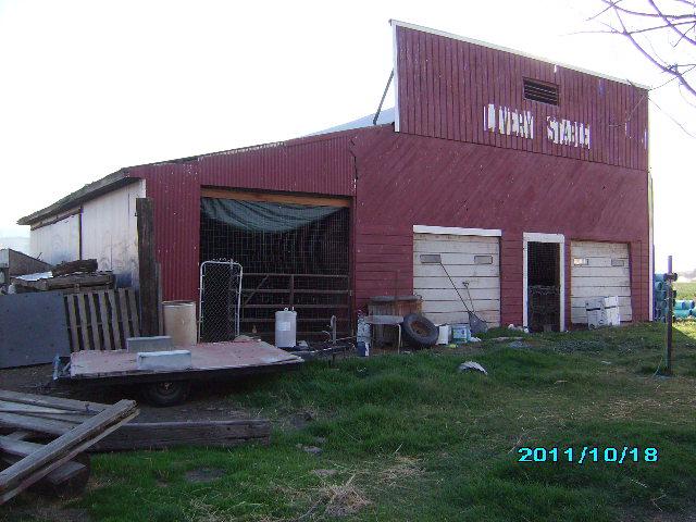 Gallery Image 7