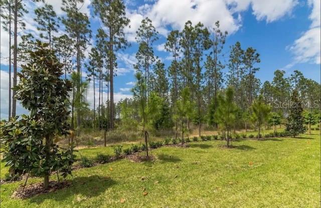 880 Pebble Beach Drive Davenport, FL 33896 - Photo 32 of 52