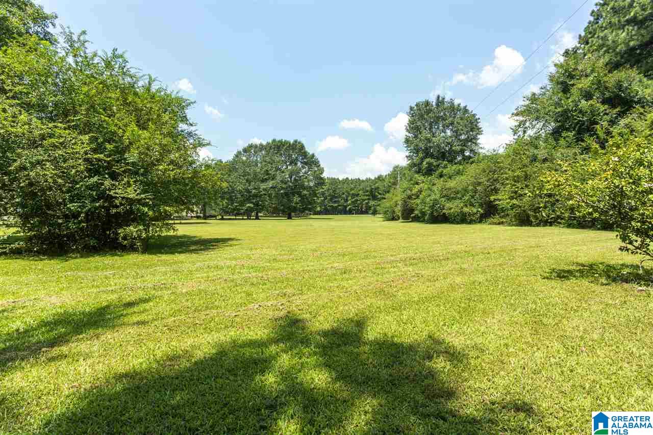 5500 Smith Road Pell City, AL 35128 - Photo 48 of 50