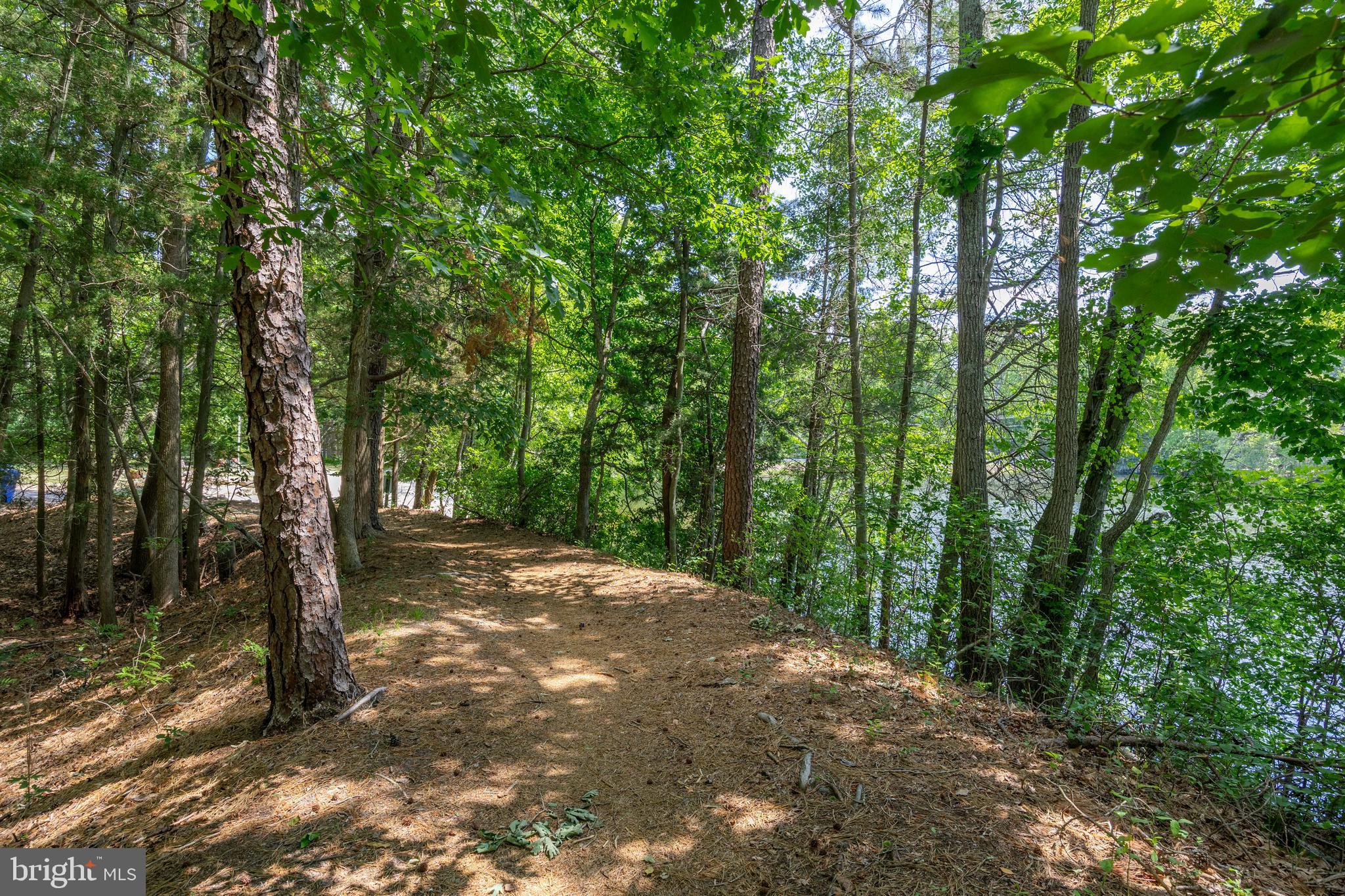 253 Hopewell Road Medford, NJ 08055 - Photo 38 of 54