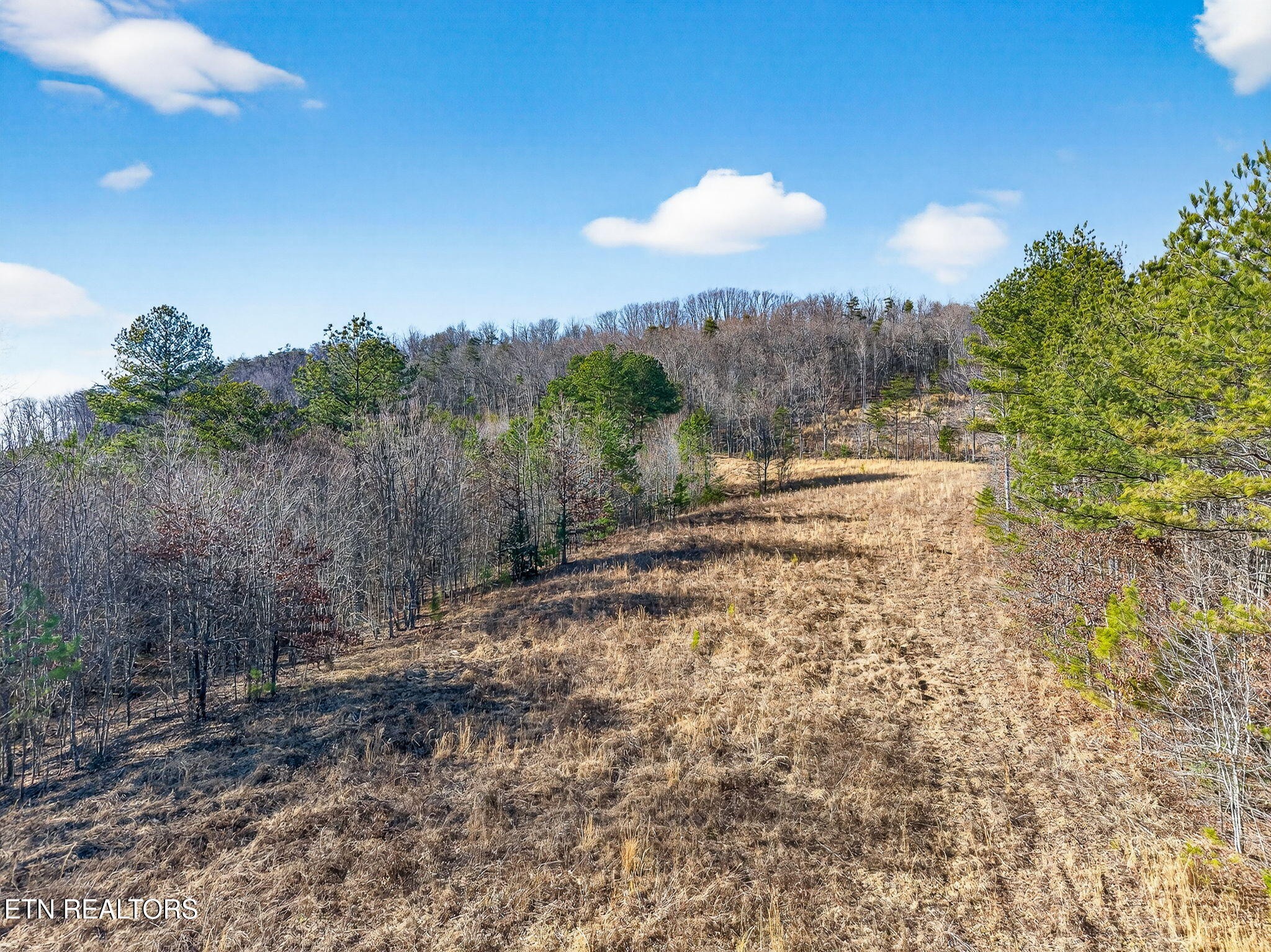 629 Lowe Road Crossville, TN 38572 - Photo 13 of 15 Gallery Image 13