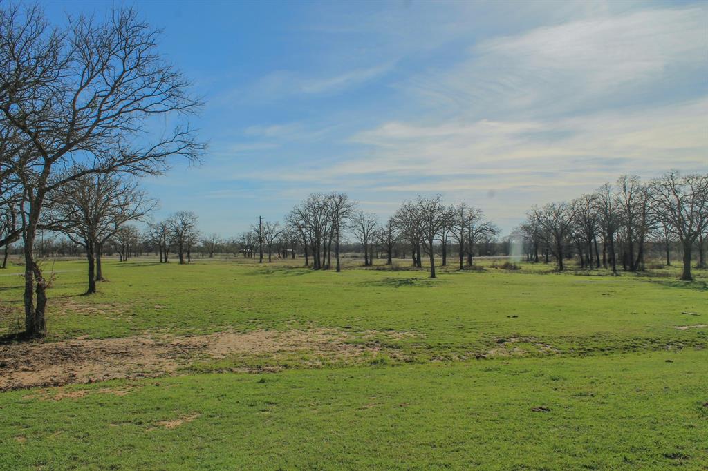 1070 Paradise Oaks Perrin, TX 76486 - Photo 7 of 18 a view of field with tall trees