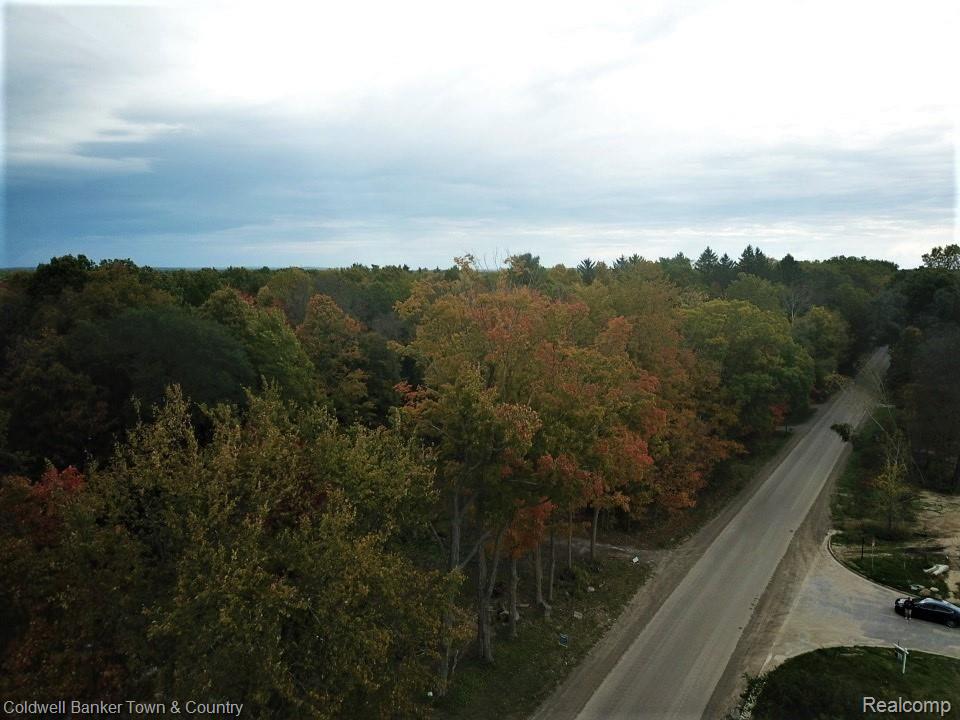0 Mcclements Road Brighton, MI 48114 - Photo 2 of 17