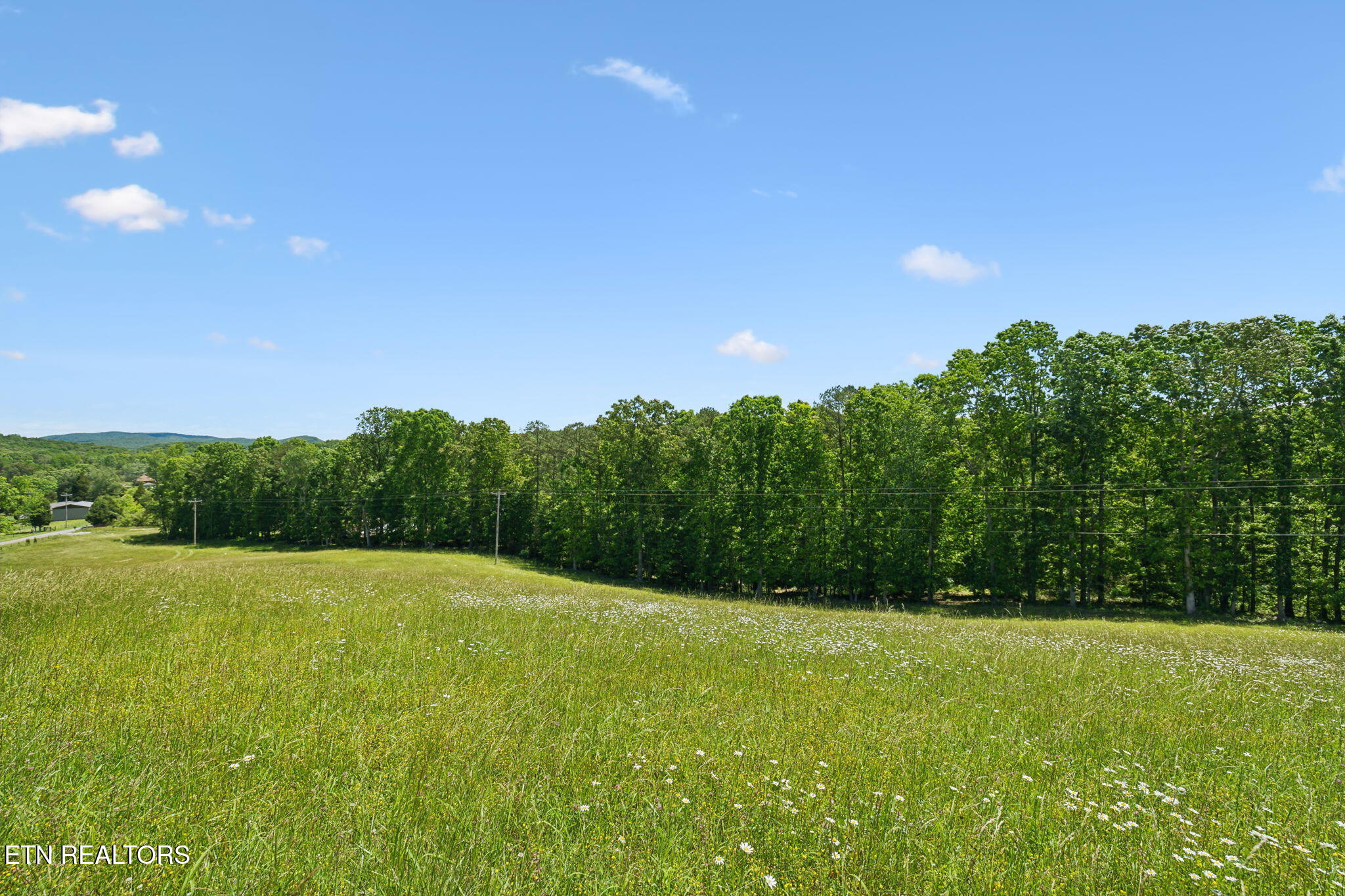 1460 Big Neck Road Grandview, TN 37337 - Photo 10 of 32 Rolling Fields