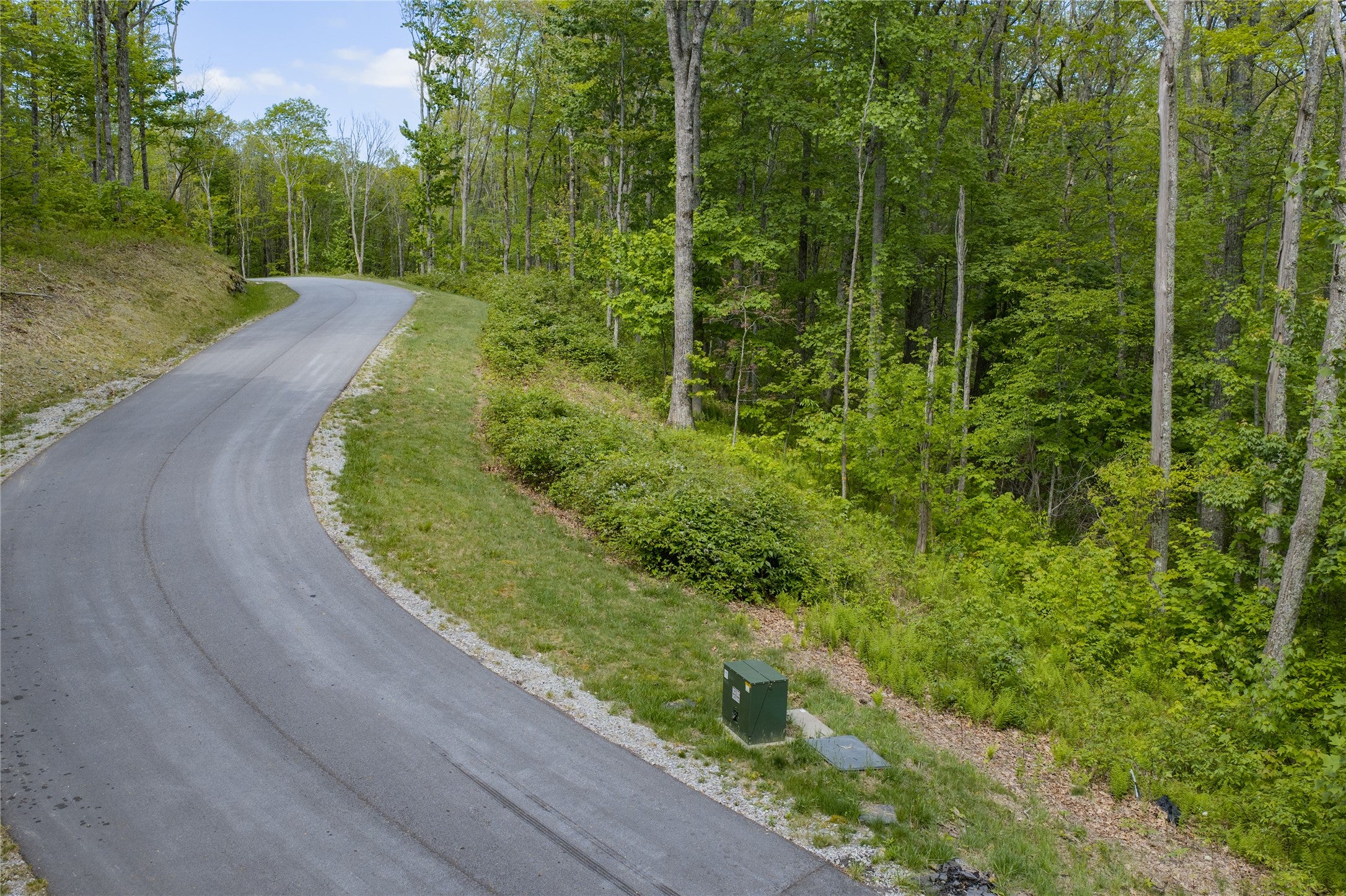 C47 Roaming Road Glenville, NC 28736 - Photo 6 of 41 Gallery Image 6