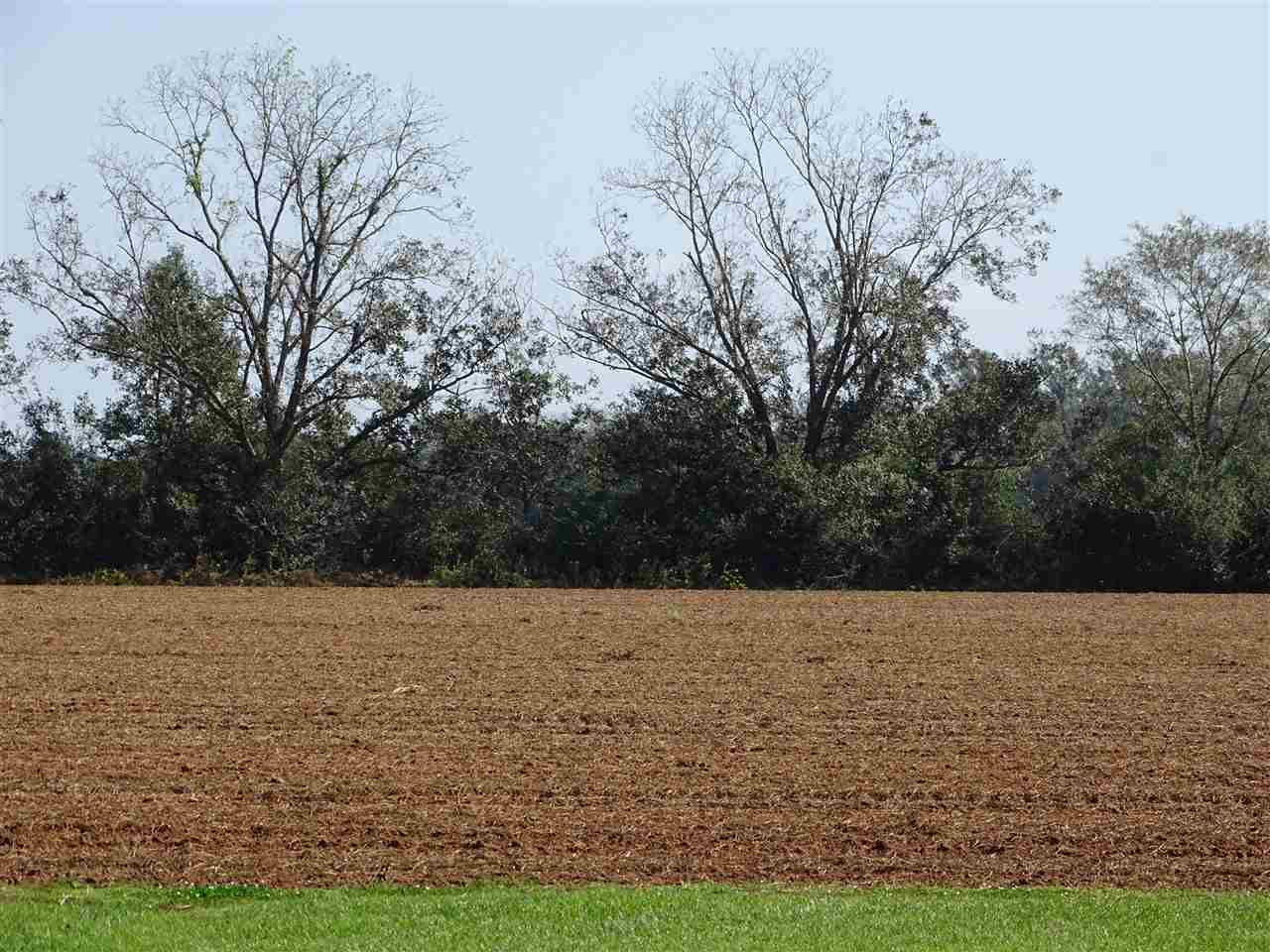 0 Berga Lane Daphne, AL 36526 - Photo 1 of 2 Cleared - Flat Parcel