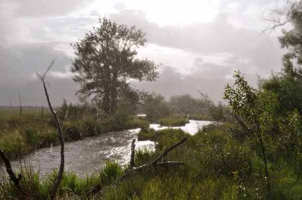 $898,888 | 52 Road 8Uc, Powell, WY 82435