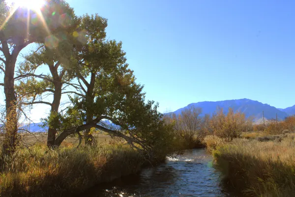 $898,888 | 52 Road 8Uc, Powell, WY 82435