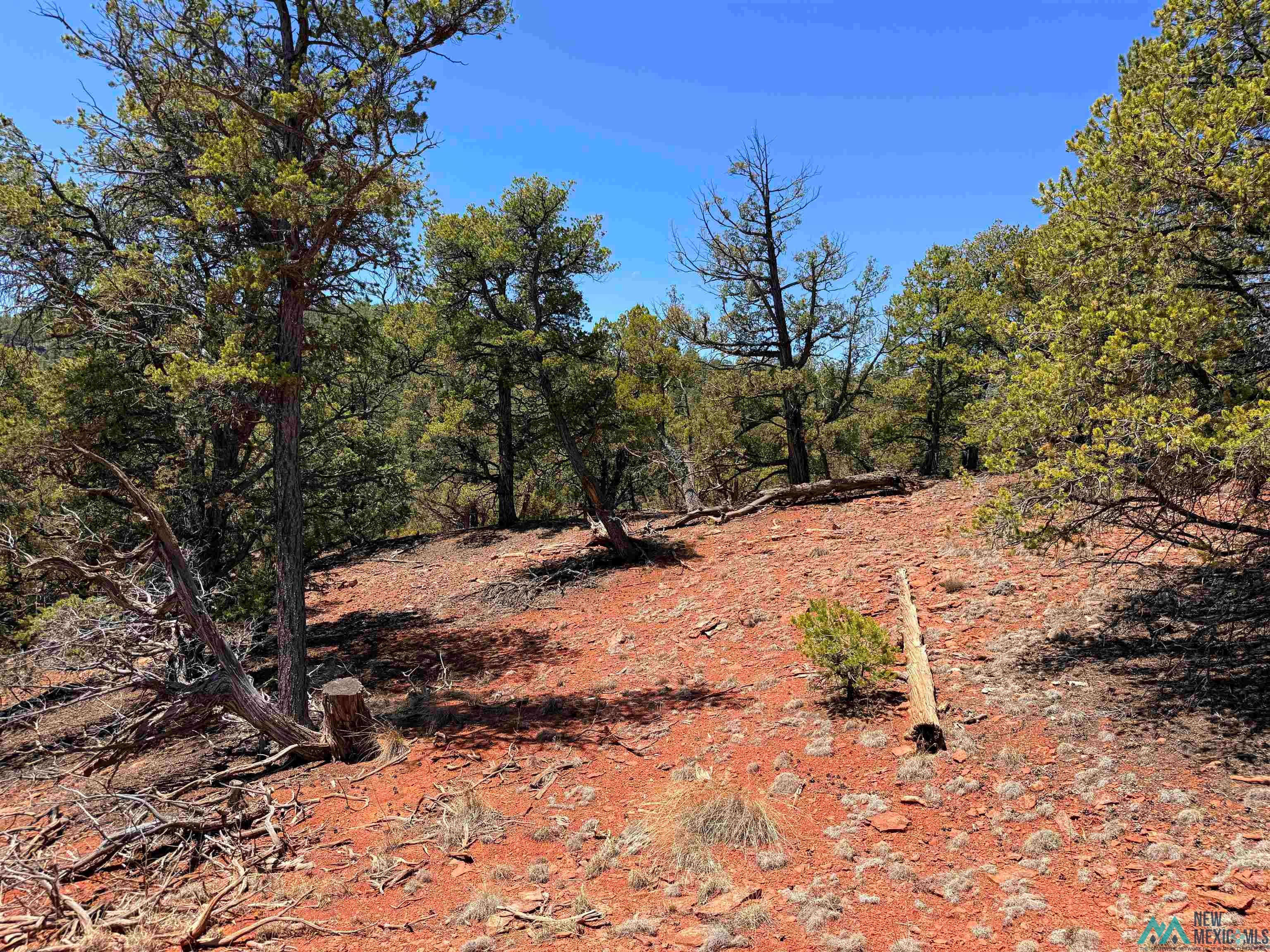 Tbd Tbd Little Arrow Road Grants, NM 87020 - Photo 29 of 69