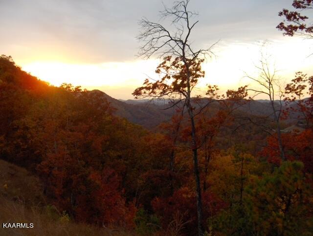 0 Stackstone Road Sevierville, TN 37862 - Photo 11 of 28 CB6CD07C-1F1B-42EE-A6D9-BF8DD44BBB5E