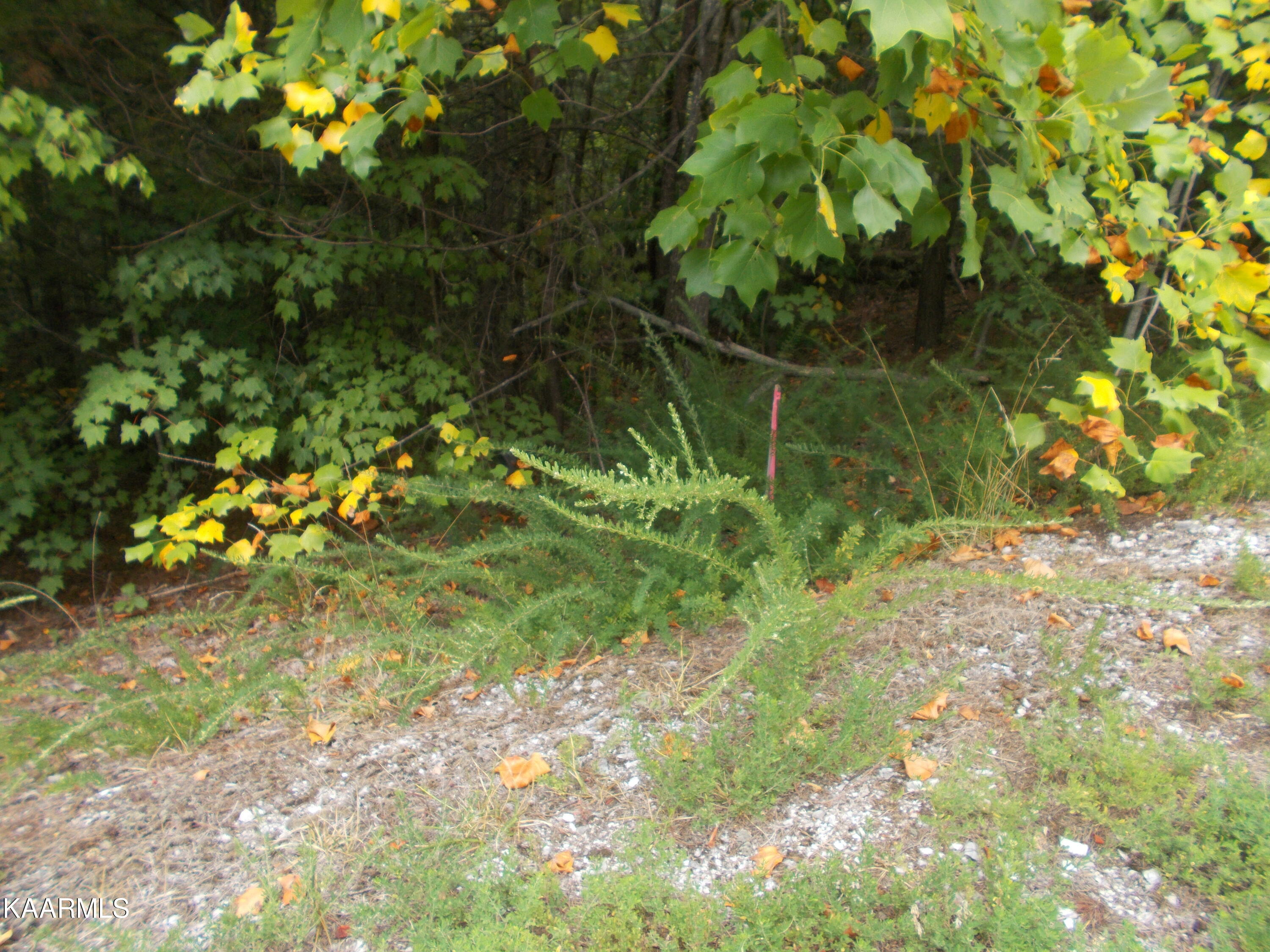 0 Stackstone Road Sevierville, TN 37862 - Photo 13 of 28 2D6520B8-A9B5-4817-BAB1-5227FCFC9946