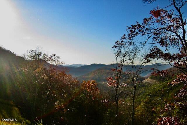 0 Stackstone Road Sevierville, TN 37862 - Photo 2 of 28 7CE3FCE3-4165-4384-9D8A-EBECE8682A8A