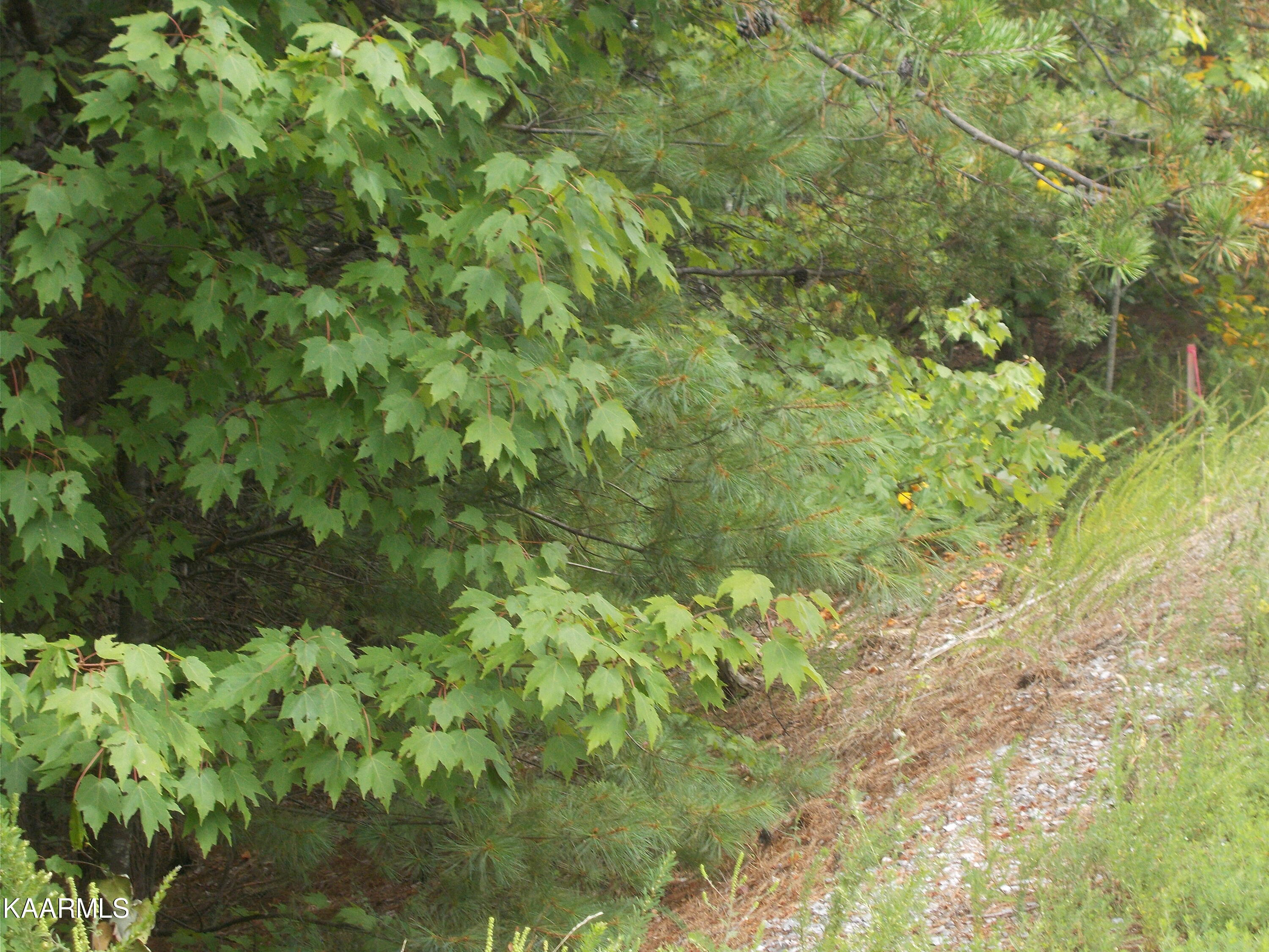 0 Stackstone Road Sevierville, TN 37862 - Photo 21 of 28 85E721B8-AFE4-4A6E-A600-5A6279D97905