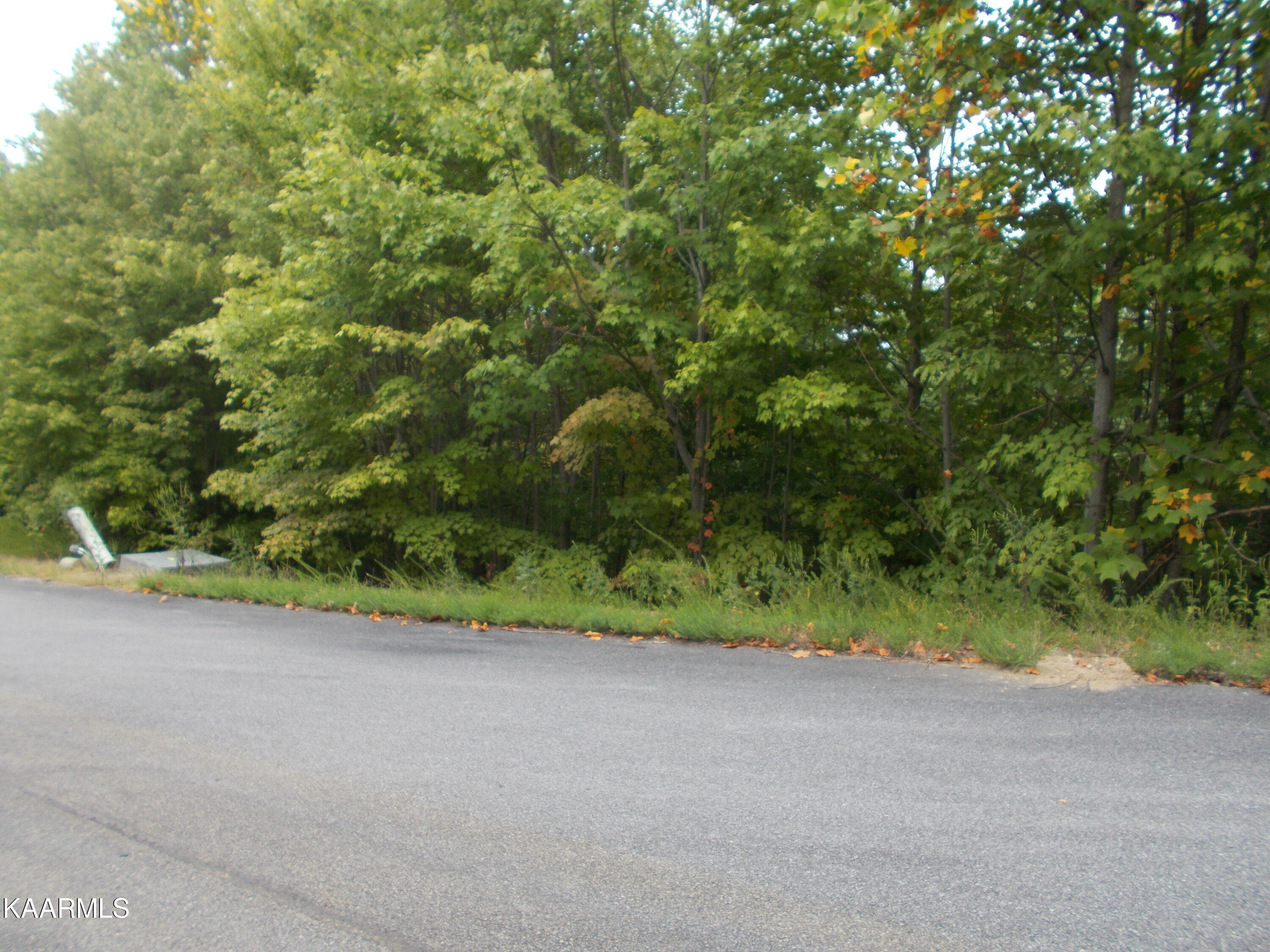 0 Stackstone Road Sevierville, TN 37862 - Photo 23 of 28 24CAAC84-0DC8-4727-916D-C9E6B7F1BF61