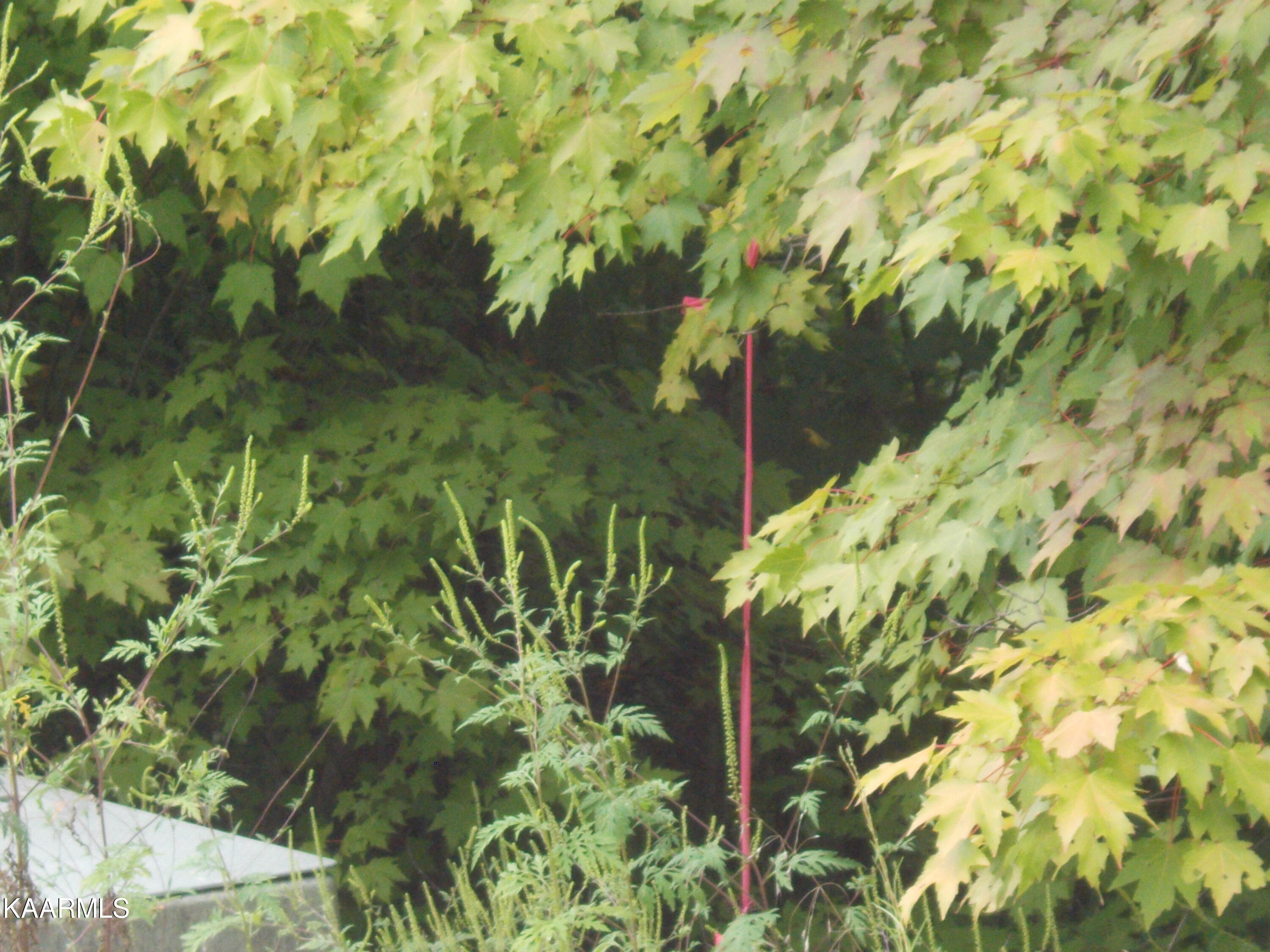 0 Stackstone Road Sevierville, TN 37862 - Photo 27 of 28 CE57EA71-B45A-4B3F-A18A-D078C9BCD0BD