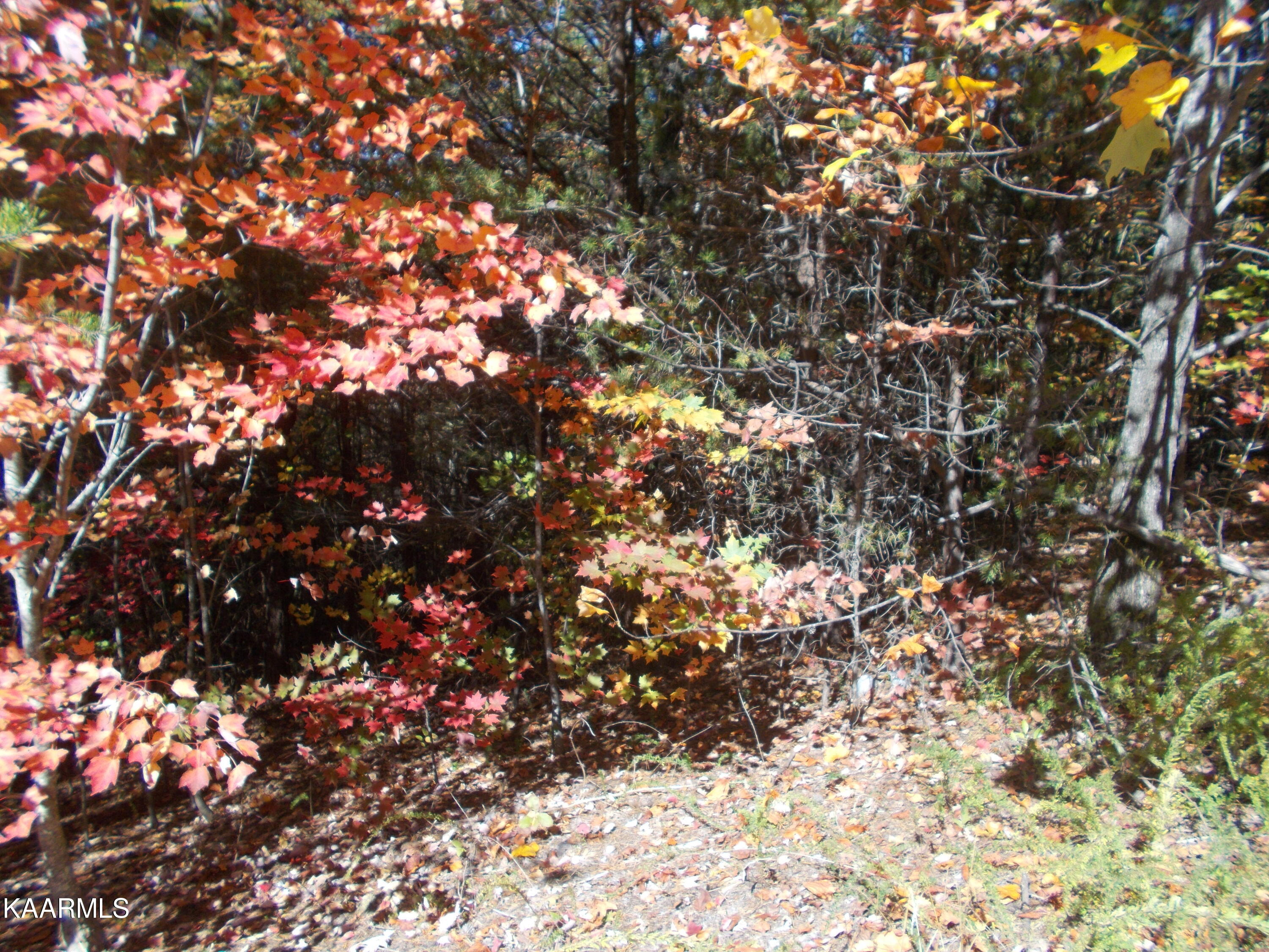 0 Stackstone Road Sevierville, TN 37862 - Photo 3 of 28 EB4280C8-092F-4AF0-B611-91B44D56DCAB