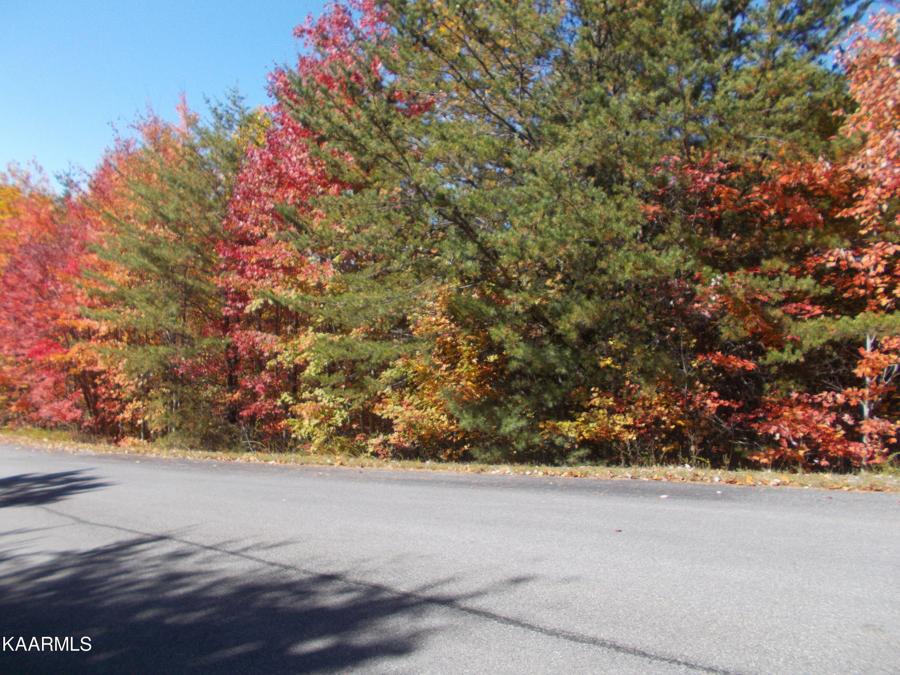 0 Stackstone Road Sevierville, TN 37862 - Photo 6 of 28 96A0D6C0-B027-479A-BF93-D0FE380B1694