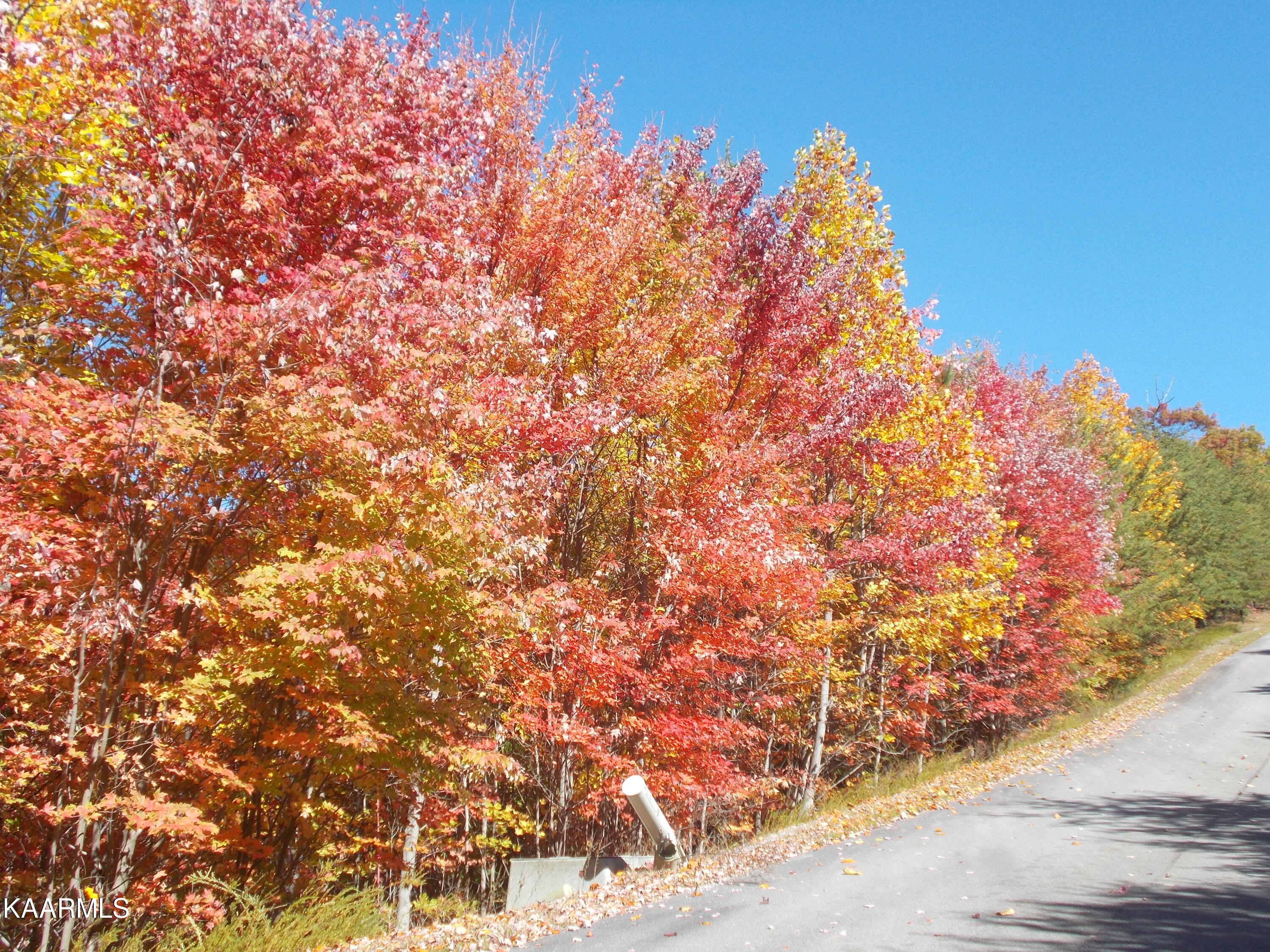 0 Stackstone Road Sevierville, TN 37862 - Photo 9 of 28 C94DA8C2-EEB7-4FD5-A07B-FDB407C6DE89