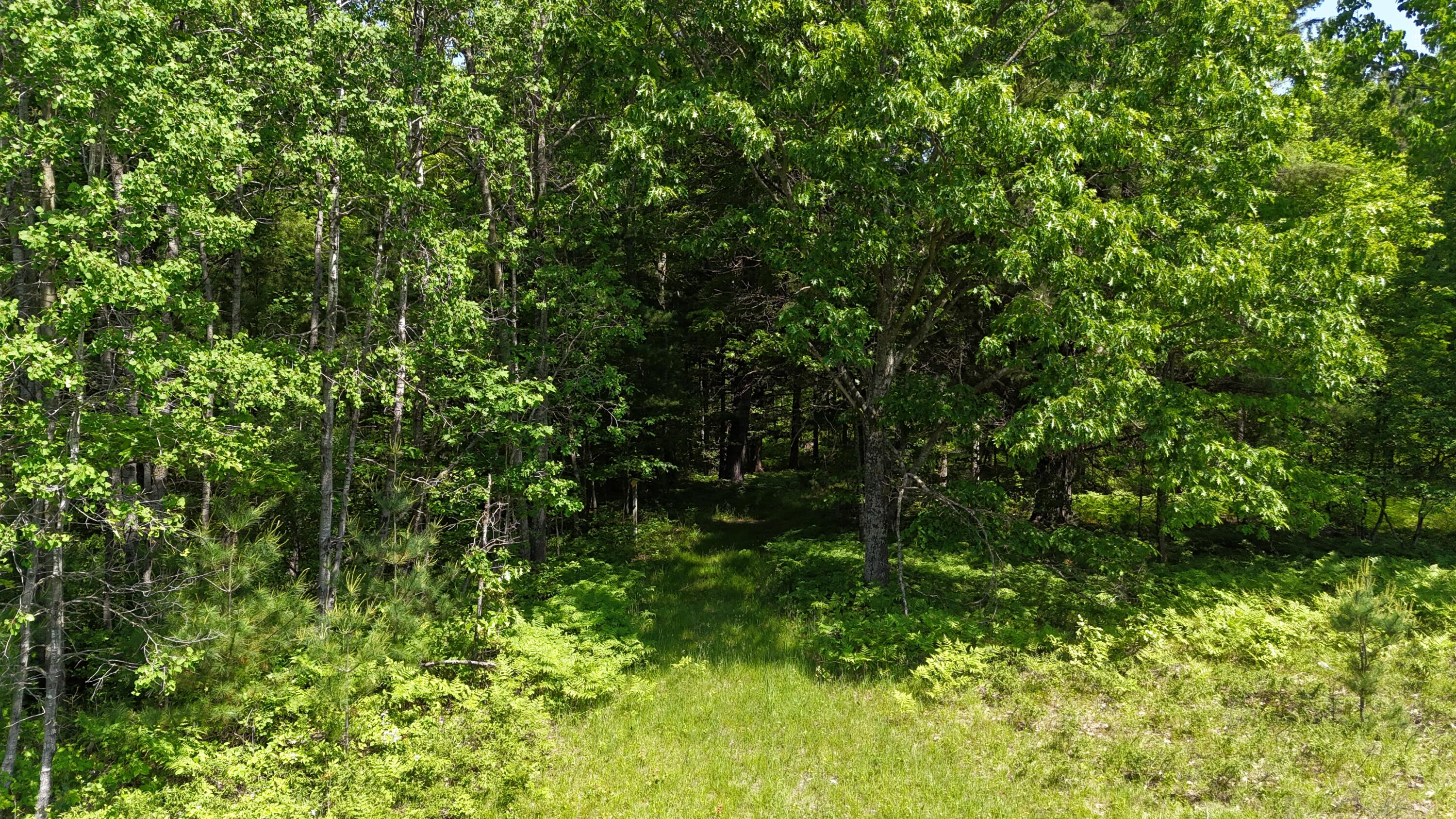 Dickson Road Brethren, MI 49619 - Photo 5 of 27 dji_fly_20250611_114850_0529_17496572063