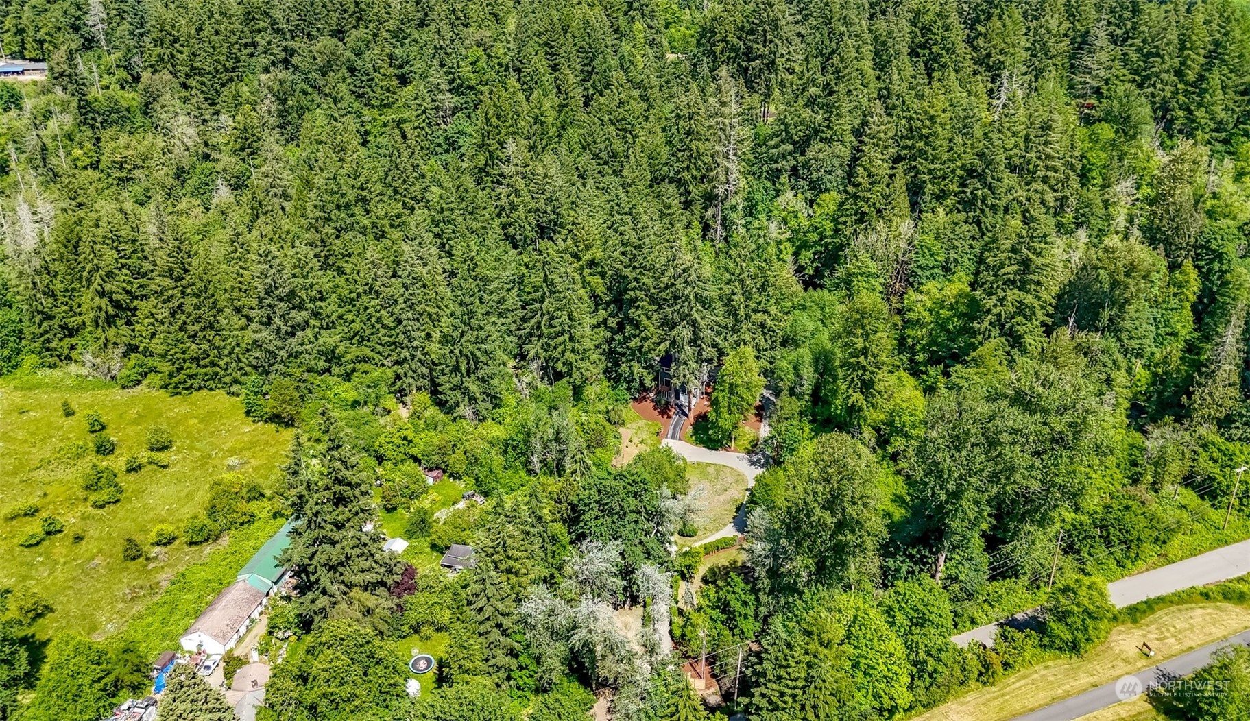 21220 Maxwell Road Southeast Maple Valley, WA 98038 - Photo 5 of 40 a view of a lush green forest with lots of trees