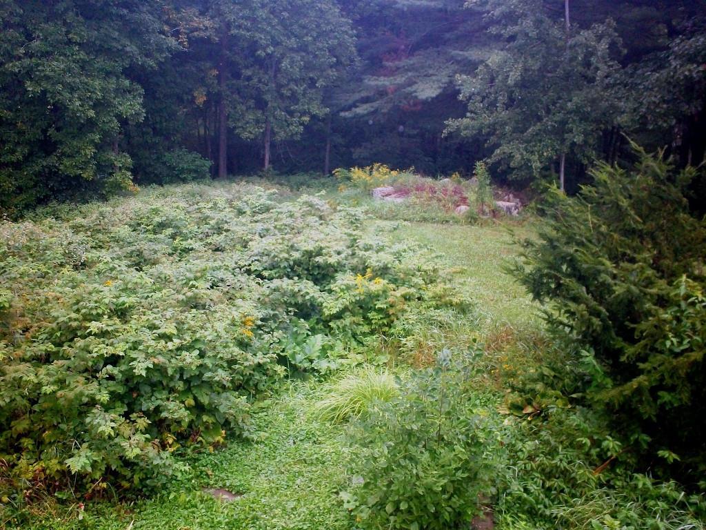 33 Holmes Farm Road Oakland, ME 04963 - Photo 4 of 13 Landscaping in back yard