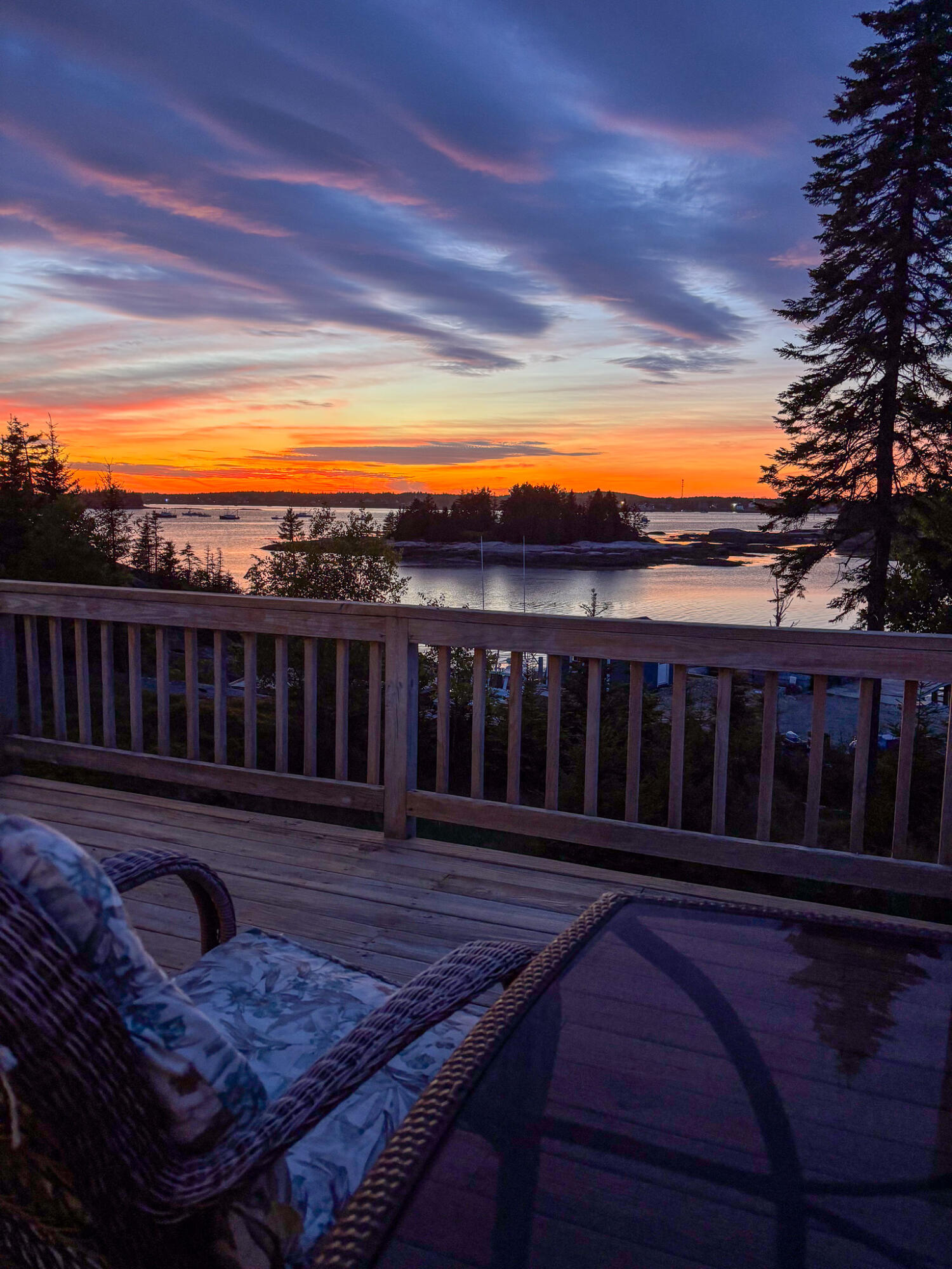 248 Alleys Bay Road Beals, ME 04611 - Photo 60 of 64 59