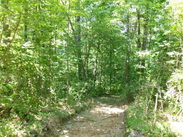 North Ferry Road Bloomfield, IN 47424 - Photo 13 of 13