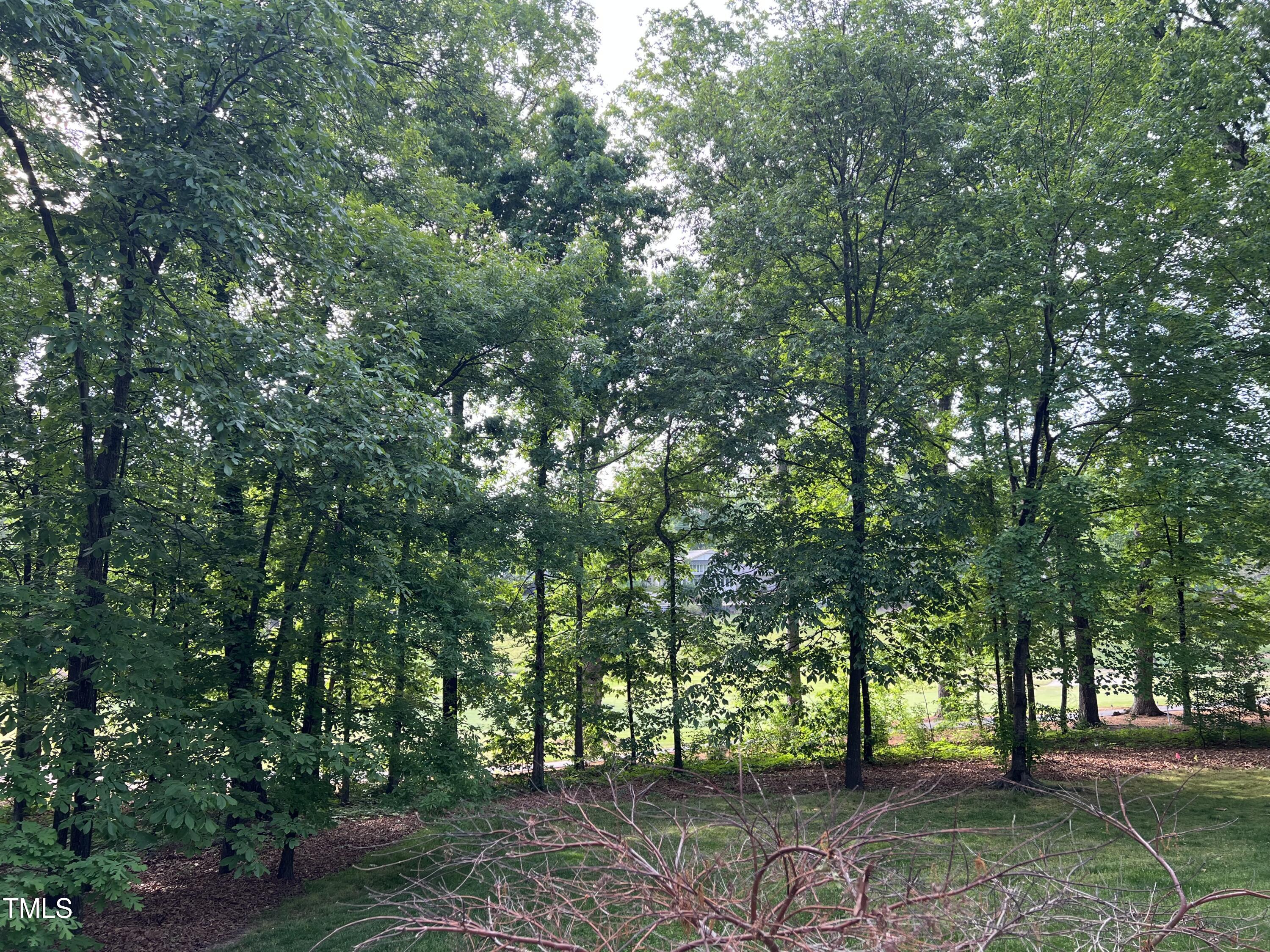 7824 Hardwick Drive Raleigh, NC 27615 - Photo 6 of 15 a view of outdoor space with tree s