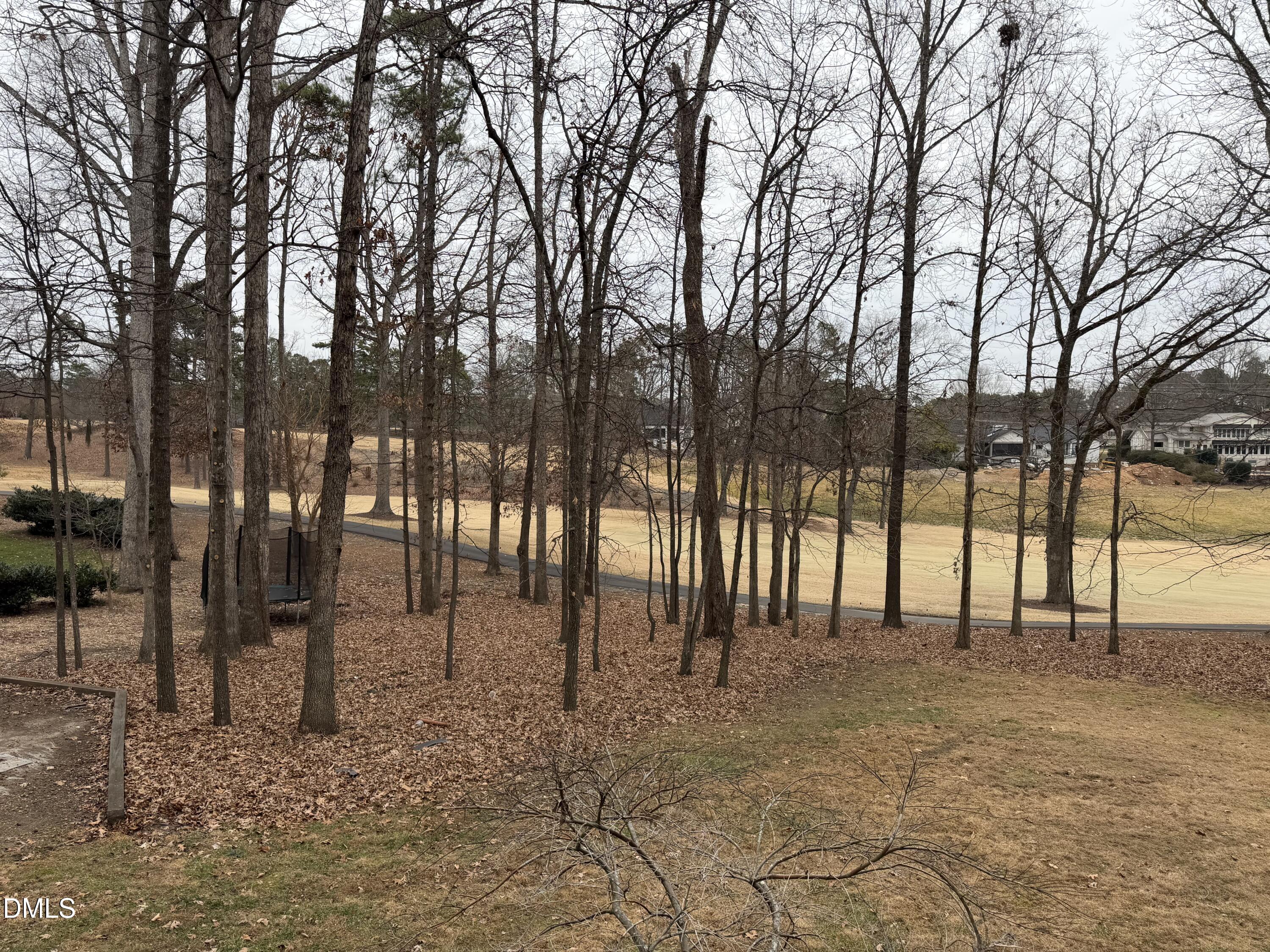 7824 Hardwick Drive Raleigh, NC 27615 - Photo 9 of 15 a view of outdoor space with deck