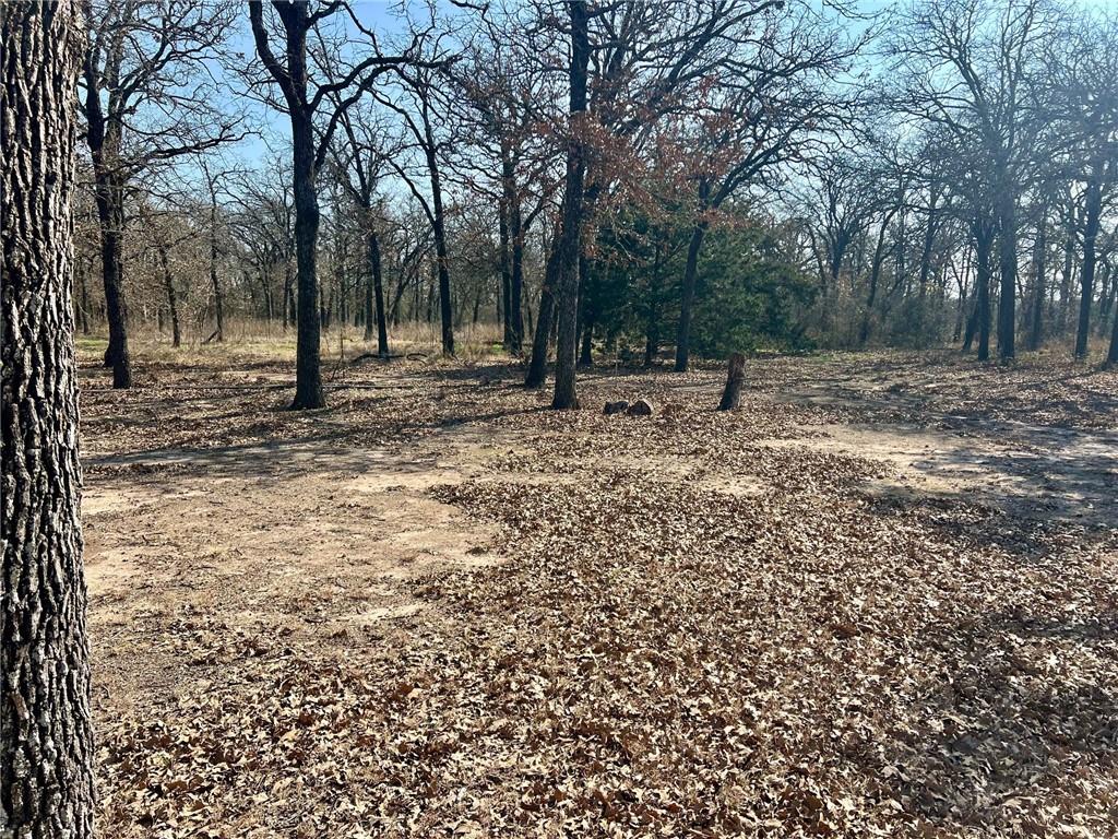 620 Cr 109 Road Riesel, TX 76682 - Photo 13 of 26 a backyard of a house with lots of green space