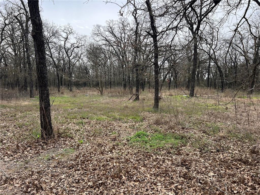 620 Cr 109 Road Riesel, TX 76682 - Photo 21 of 27 a backyard of a house with lots of green space